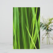 草の葉 便箋 (スタンド正面)