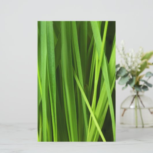 草の葉 便箋 (スタンド正面)