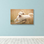 草の走間を通る キャンバスプリント (インサイチュ (ウッドフロア))