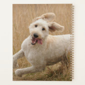 草の走間を通る プランナー手帳 (裏面)