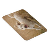 草の走間を通る マグネット (右側)