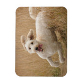 草の走間を通る マグネット (縦)