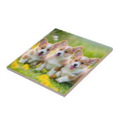 草の遊中のコルギー タイル (側面)