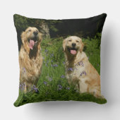 草の金Retreivers クッション (裏面)