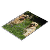 草の金Retreivers ノートブック (左側)