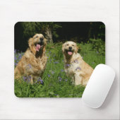 草の金Retreivers マウスパッド (マウス)