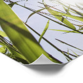 草の間を日光で照らす ポスター (角)