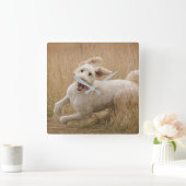 草の間を通走るゴルデンドル スクエア壁時計 (ホーム)