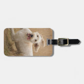 草の間を通走るゴルデンドル ラゲッジタグ (正面横)