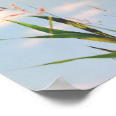 草の青い空のフィールド牧草地自然ポスター ポスター (角)