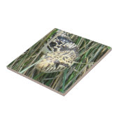 草の頭部の打撃のR4 Bullのヘビ タイル (側面)