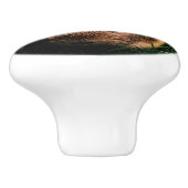 草のAgoutiのモルモット セラミックノブ (側面)