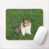 草のmousepadのシェットランド・シープドッグの子犬 マウスパッド (マウス)