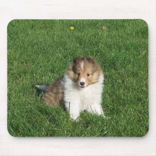 草のmousepadのシェットランド・シープドッグの子犬 マウスパッド (正面)