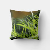 草は常にです緑… 枕 (正面)