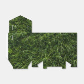 草は常に青白い箱 フェイバーボックス (折り畳みなし)