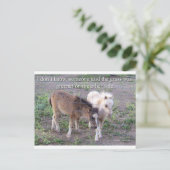 草は緑が多い ポストカード (スタンド正面)