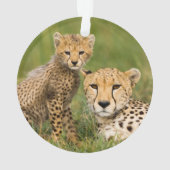 草むらで親と一緒にいるチーターの子 オーナメント (裏面)