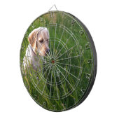 草むらで遊ぶラブラドールの仔犬 ダーツボード (正面右)