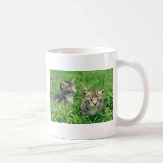 草むらで遊ぶ2匹の子猫 コーヒーマグカップ (右)