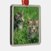 草むらで遊ぶ2匹の子猫 メタルオーナメント (右)