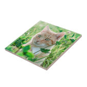 草むらに佇むグリーンアイのジンジャ―キャット タイル (側面)