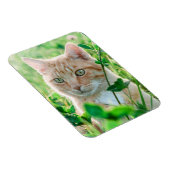 草むらに座る緑の目の茶トラ猫 マグネット (右側)