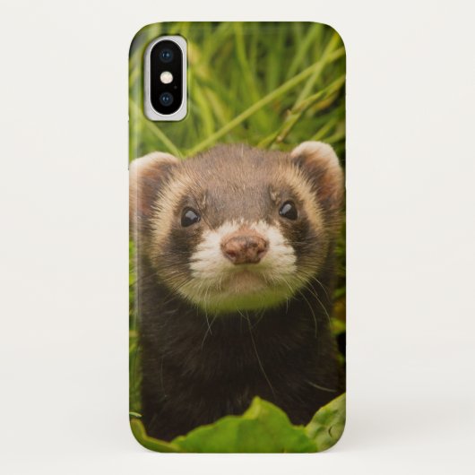 草むらのかわいい茶色のフェレット Case-Mate iPhoneケース (裏面)