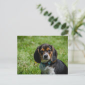 草よくはしゃぐの中でパップ ポストカード (スタンド正面)