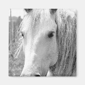 草を持つ馬 マグネット (正面)