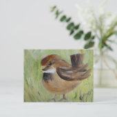 草を探して ポストカード (スタンド正面)