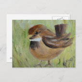 草を探して ポストカード (正面/裏面)