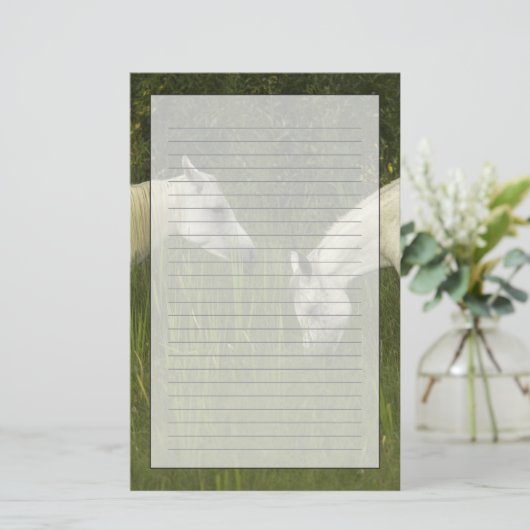 草を食べている2頭の馬 便箋 (スタンド正面)