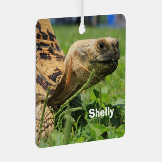 草パーソナライズされたの中のヒョウガメ メタルオーナメント (正面右)