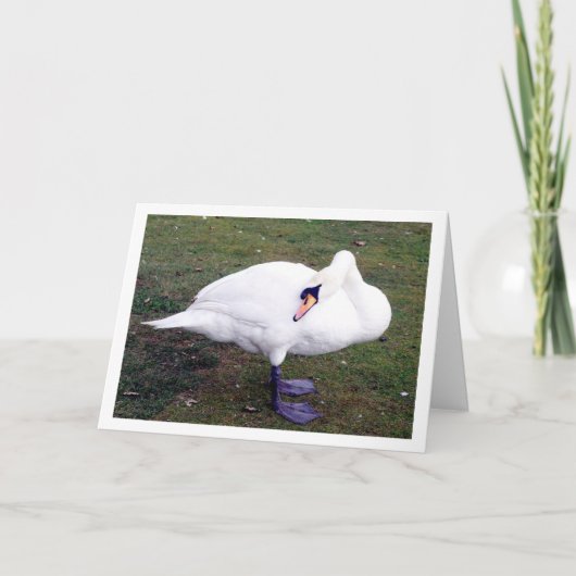 草上の白鳥 カード (正面)