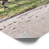 草写真ポスターに登場する野生の七面鳥 ポスター (角)