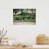 草写真ポスターに登場する野生の七面鳥 ポスター (キッチン)