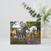 「草原から入る」はがき ポストカード (スタンド正面)