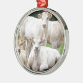 草原で提起している白いベージュ牛のグループ メタルオーナメント (左)