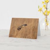 草原で飛行している短い耳のフクロウ カード (黄色い花)