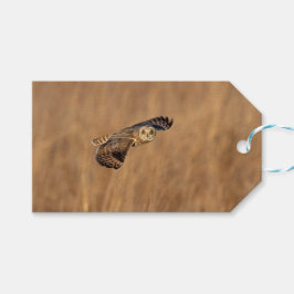 草原で飛行している短い耳のフクロウ ギフトタグ