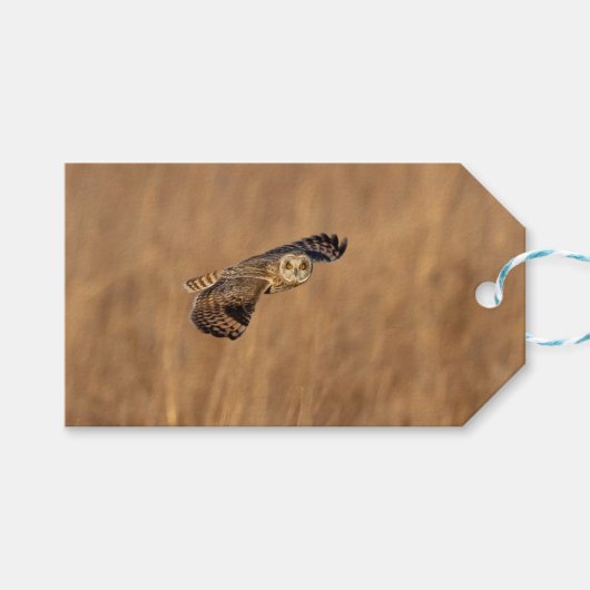 草原で飛行している短い耳のフクロウ ギフトタグ (正面(横))