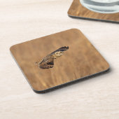 草原で飛行している短い耳のフクロウ コースター (左側)