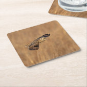 草原で飛行している短い耳のフクロウ スクエアペーパーコースター (アングル)