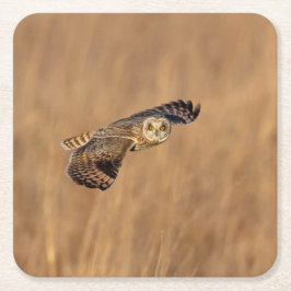 草原で飛行している短い耳のフクロウ スクエアペーパーコースター