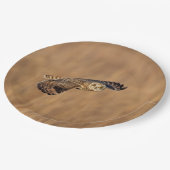 草原で飛行している短い耳のフクロウ ペーパープレート (アングル)