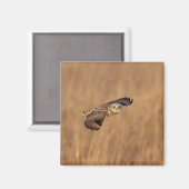 草原で飛行している短い耳のフクロウ マグネット (正面/裏面)