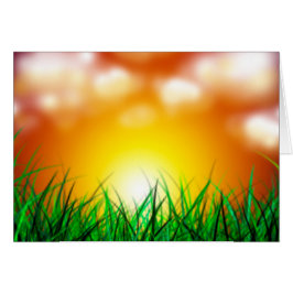 草原に広がる美しい日の出