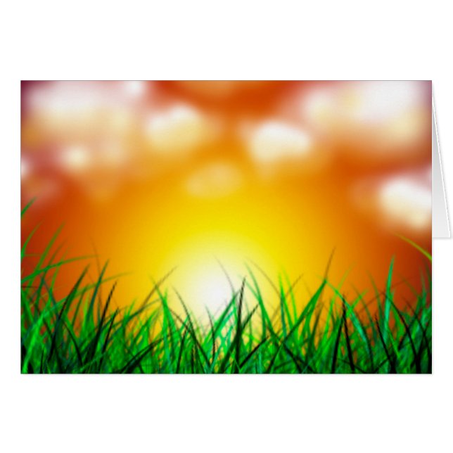 草原に広がる美しい日の出 (正面横)