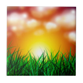 草原に広がる美しい日の出 タイル